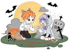 히나타 쇼요 천사님을 찾습니다.