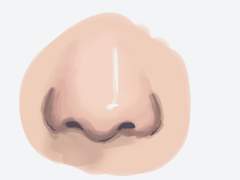 사실적인 코 그리기