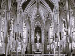 [준혁지혜] 우리를 인간으로 만드는 것은