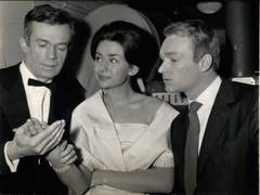 고도로 발달한 금수저는 앰생과 구별할 수 없다 <5>