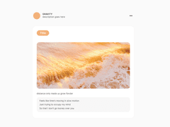 GRAVITY SKIN 17 (마감)