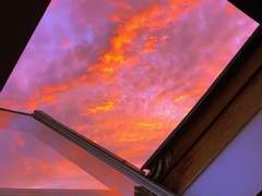 구원자는 누구였나