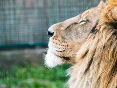 외도, 바람 피는 사주가 따로 있을까?