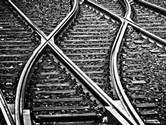 트롤리 딜레마 - 4