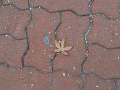 그건 오지랖이고!