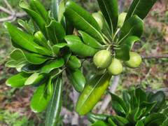 남들은 다 아빠가 육아휴직 하더라!