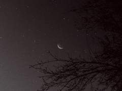 [BL] 영험한 밤의 몸종 (56) : 반병신