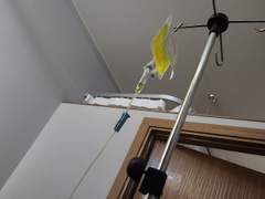 인생 첫 코로나19 후기