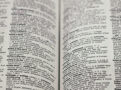 #1. [유니버섹션] 세계지도 소개