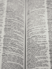 [세계관] 백과사전