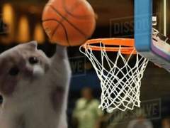 Quarter 2. 俺は環、あきらめの悪い男。