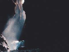 고양이와 실타래