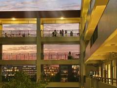 그 뱀의 낭만적 연애사 12