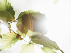 아워시즌, Our season (2-2)