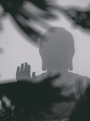 사주 해석 컨텐츠