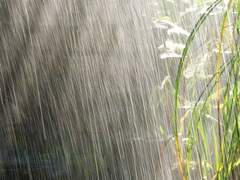 나는 오래된 거리처럼 너를 사랑하고