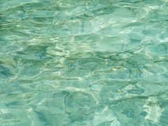 뭔가 특이하고 특별한 사람