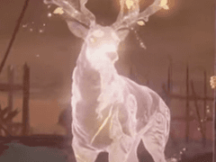 <완벽의 형태> 2화