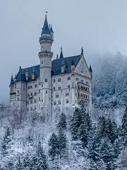 Lydia Wilhelmina Harker