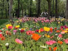 [지옹] 0914. 좋아하는 계절