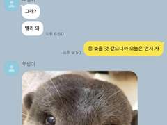 고민이 있는데... 남자친구가 수달이면 역시 싫겠죠?