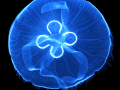 (독자님들께) 읽어주셔서 감사합니다.