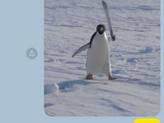 제 ‘현’여친은 펭귄입니다.🦝ver. 이와이즈미 하지메