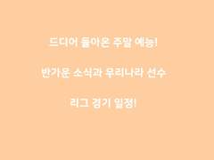 주말 예능 해외축구 리그 경기일정!