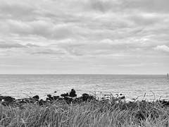 2년에 한번씩 하면 좋은 것