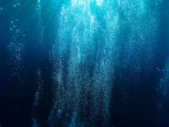 내 고향은 바닷가야