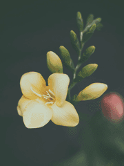 지옥의 고3 일기