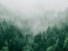 화산귀환 청명 드림 - 인연(人縁) / 외전