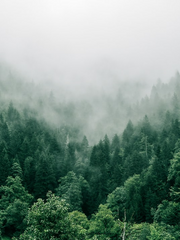 화산귀환 청명드림 - 인연(人緣) [完]