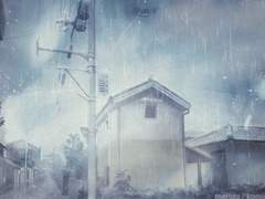 [원피스/트라팔가 로 드림] 앞자리의 트라팔가 군 下