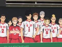 하이큐 드림 | 만약 네코마 매니저가 수인이라면? 1