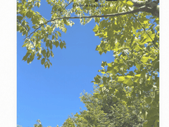 🧩K-POP 매거진 k-化🧩 3호