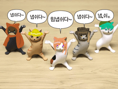 앨범 정리 겸 백업