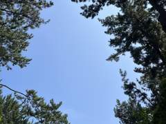 한 여름의 계절