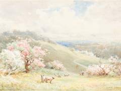 비출리 없는 거울