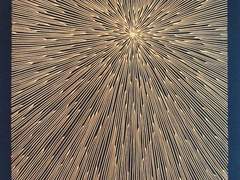 난 네 온기를 일 도쯤 앗아갈게