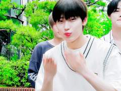 쌍방짝사랑참말사건