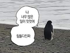 🥕으로 🐰를 유혹하지 마세요! 上