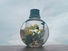 하바리움 커미션