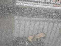 [DAY 151, 152, 153, 154] 천하제일 게으름뱅이