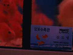 사장님은 인어였다.