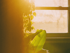 [란무테] 환하리