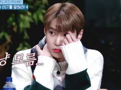 예쁘지만 위험한