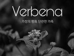 Verbena_3