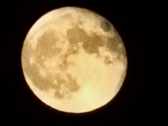 사랑하는 나의 피터팬에게