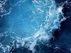 최고 심판관님을 기다리며